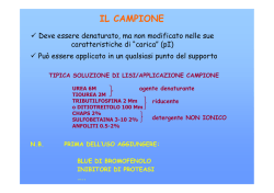03-Preparazione campioni 2DE