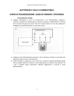 elettrolisi e celle a combustibile. curve di polarizzazione. leggi di