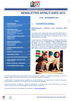 Newsletter Appalti - novembre 2014