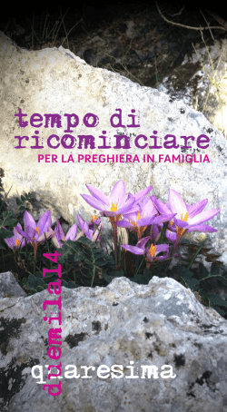 Tempo di ricominciare &ndash; Quaresima 2014