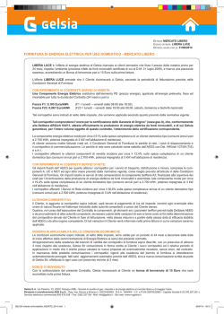 fornitura di energia elettrica per uso domestico - mercato