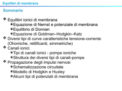 Sommario Equilibri ionici di membrana ๏Equazione di Nernst e
