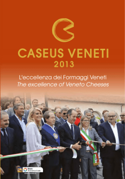 Sfoglia il catalogo