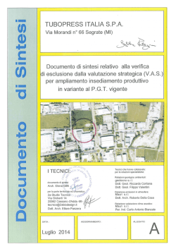 DOCUMENTO DI SINTESI - TUBOPRESS