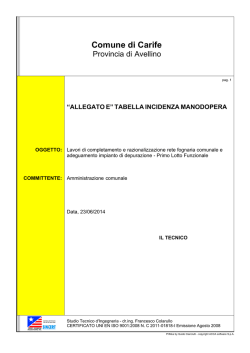 allegato e- tabella incidenza manodopera