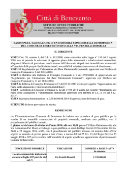 SETTORE OPERE PUBBLICHE