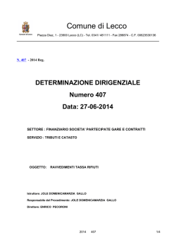DETERMINAZIONE DIRIGENZIALE Numero 407