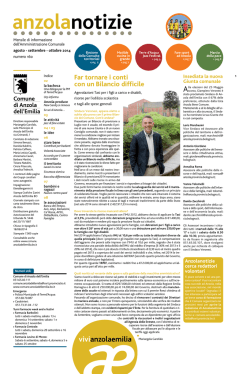 Far tornare i conti con un Bilancio difficile