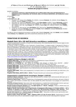TEMATICHE DI RICERCA Modelli fisici 2D e 3D