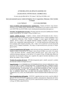 AVVISO RELATIVO AD APPALTO AGGIUDICATO