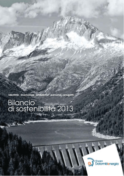 Bilancio di sostenibilità 2013