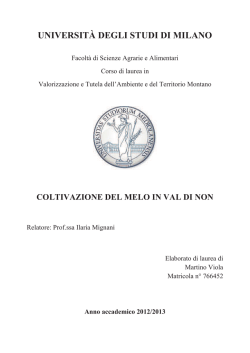 UNIVERSIT&Agrave; DEGLI STUDI DI MILANO