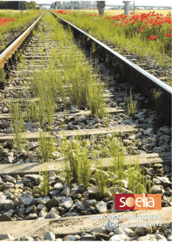 RAPPORTO DI SOSTENIBILIT&Agrave; del Gruppo SOELIA 2013
