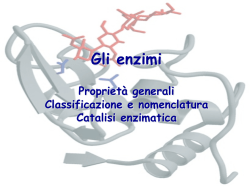 Gli enzimi