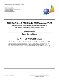 ALLEGATI ALLA PERIZIA DI STIMA ANALITICA
