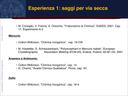 Esperienza 1 - I blog di Unica