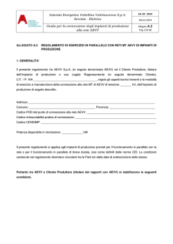 Allegato A.2 - Regolamento di esercizio MT