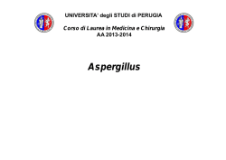 01.aspergillus - Universit&agrave; degli Studi di Perugia