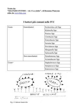 I batteri pi&ugrave; comuni nelle IVU