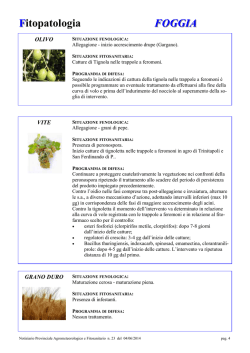Fitopatologia FOGGIA - Servizio Agrometeorologico Regione Puglia