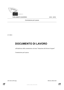 IT IT DOCUMENTO DI LAVORO