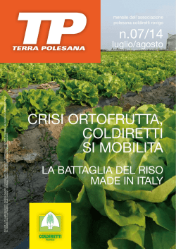 CRISI ORTOFRUTTA, COLDIRETTI SI MOBILITA