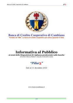 Informativa al pubblico – Pillar 3 – 2010