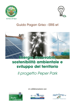 Il progetto Peper Park