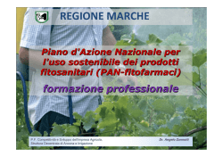 Formazione e prescrizioni per gli utilizzatori professionali, i