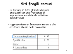 C6 Siti Fragili Comuni NET 2014 - e