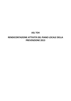 PLP rendicontazione 2013 ASL TO4