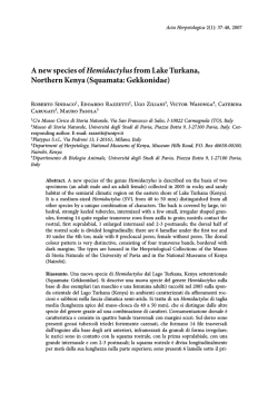 A new species of Hemidactylus from Lake Turkana