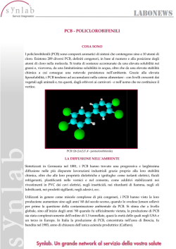 PCB - POLI PCB - POLICLOROBIFENILI ENILI