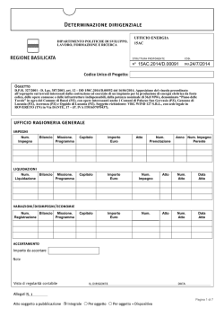 Determinazione Dirigenziale n. 91 del 24 luglio 2014