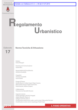 Adottato con Delibera di C.C. n. 49 del 31.07.2014