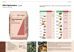 Concime complesso NPK 20+5+10 + 3 MgO + 12,5 SO3