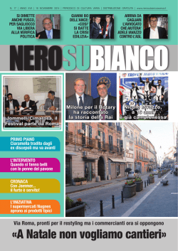 NSB RIVISTA 17 2014.indd