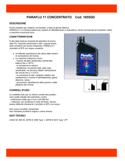 PARAFLU 11 CONCENTRATO Cod. 1655GD