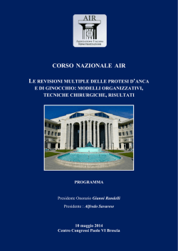 Programma provvisorio