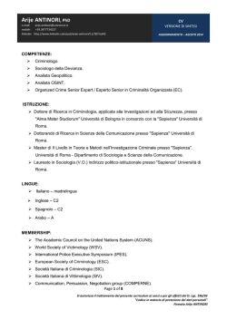 CV ACCADEMICO (sintesi) - Dipartimento di Informatica e Sistemistica