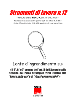 Strumenti di Lavoro n.12 - Fisac Cgil in Unicredit Group