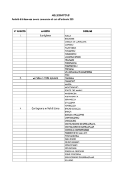 ALLEGATO B