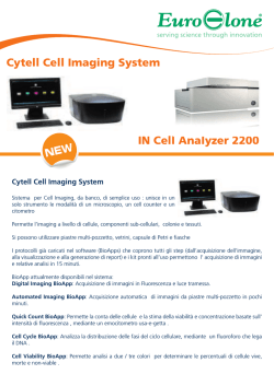 Flyer Cytell