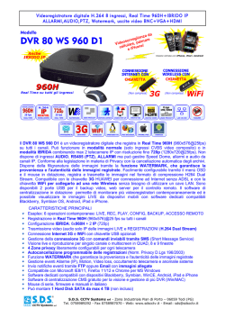 DVR 80 WS 960 D1