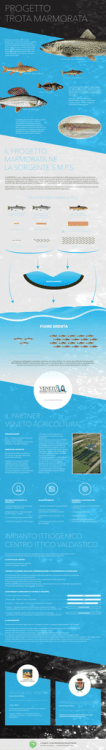 PROGETTO TROTA MARMORATA