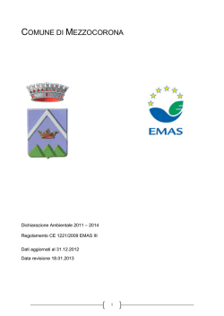 Agg. dichiarazione Ambientale 2013