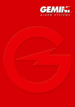 gemini nel mondo sommario