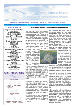 Numero 80 - Settembre 2014
