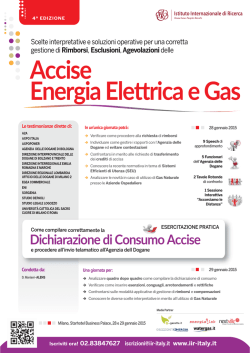 Accise Energia Elettrica e Gas - Istituto Internazionale di Ricerca