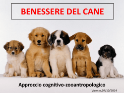Benessere del cane dr.ssa Stefania Laverda